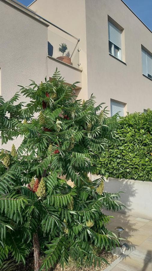 Apartment Dandelion Brela Exterior foto